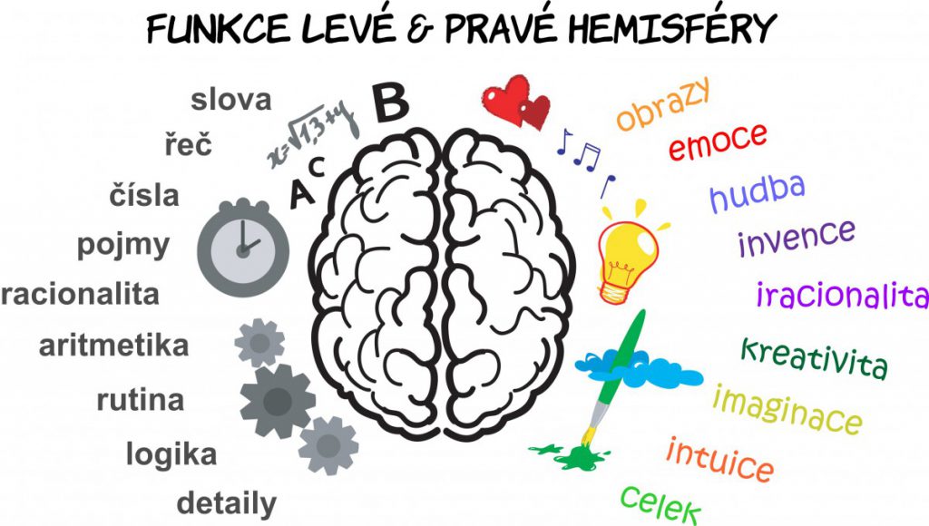 funkce-leve-a-prave-hemisfery