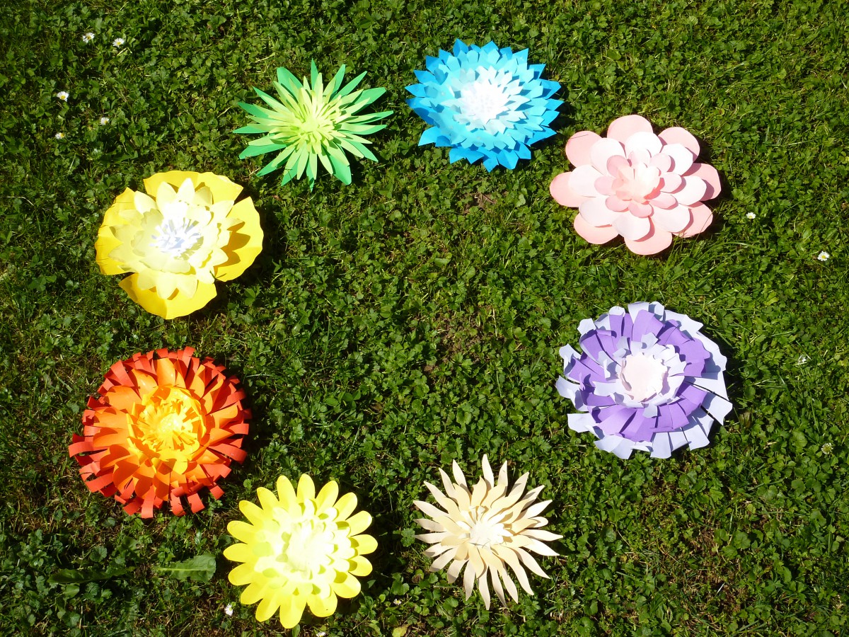 barevné papírové květiny